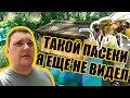 №0007 Крутой бизнес пчеловодство. Поехали на пасеку и базу отдыха. Как заработать на пчелах.