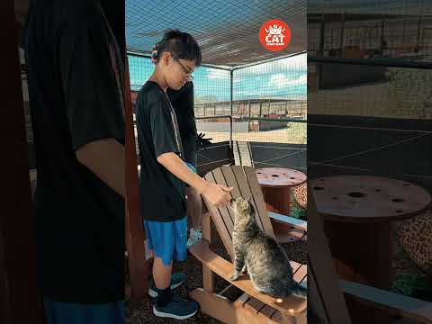 Kaimuki Christian School Volunteer Day!