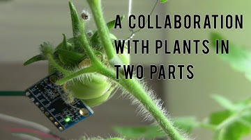A Collaboration with Plants in Two Parts (2021) Directed By: Ian Campbell