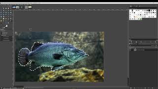 Háttér törlése GIMP-ben NÉGY féle módszerrel screenshot 4