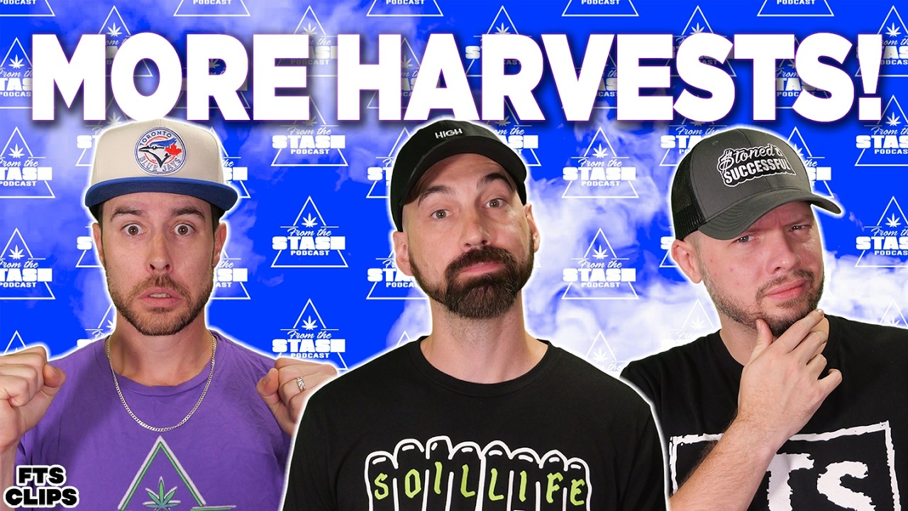 Perpetual Growing: More Harvests, Less Downtime - FTS Clips