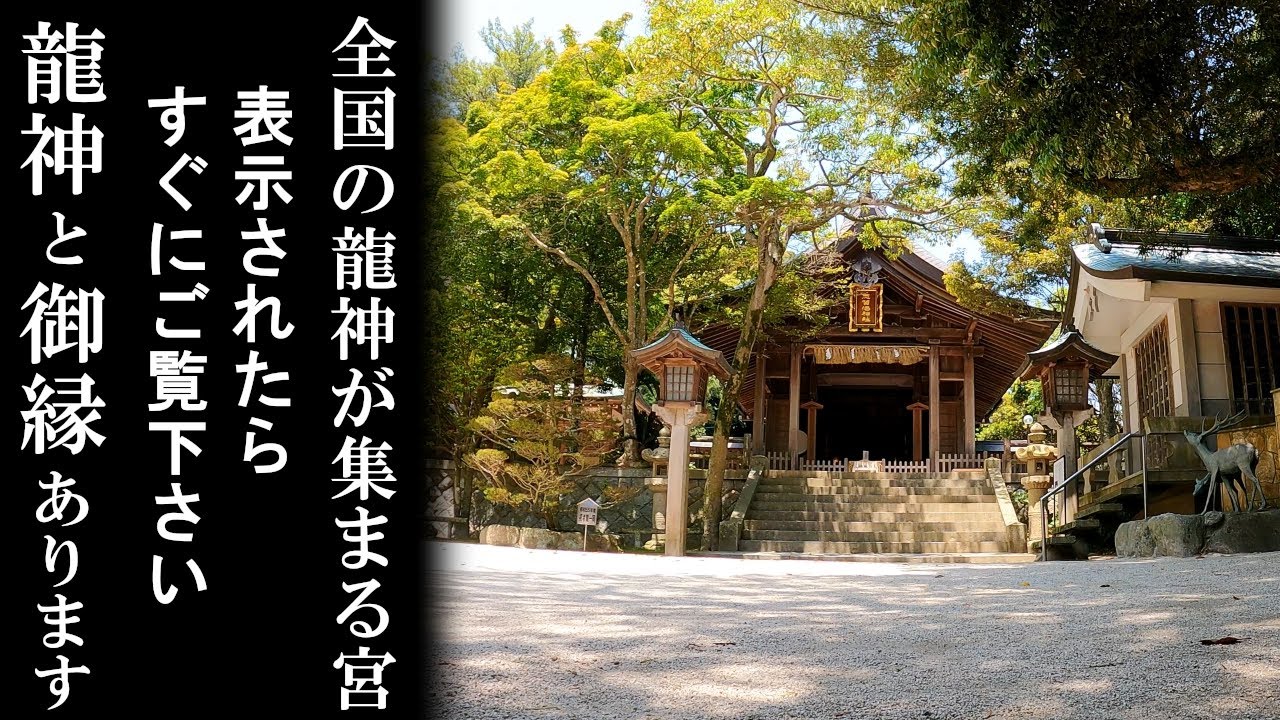 ⚠️龍神様と御縁があります※海神の総本宮。龍の都。ワタツミ神の恩恵