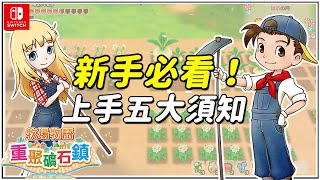 【牧場物語重聚礦石鎮】遊戲攻略｜新手上手五大須知｜先了解就能輕鬆玩（予樂）