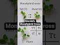 Mendal's Monohybrid Cross #monohybridcross #class10 #shorts #shortvideo