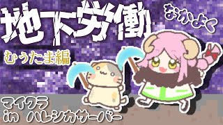 ひつじメイさんと鉄骨渡り！ ✨inハレシカサーバー✨【マインクラフト/MINECRAFT VTuber むぅたま】