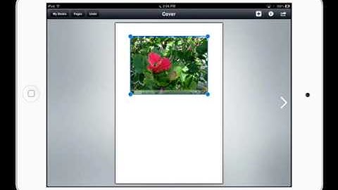 Adding Accessibility Descriptions in Book Creator for iPad