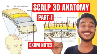 Scalp Anatomy In Hindi | Scalp Layers Anatomy | layers of scalp anatomy 3d | anatomy of scalp 3d