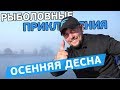 Осенняя фидерная рыбалка на Десне! Рыболовные приключения с Евгением Чертенковым!