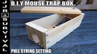 DIY Easy Set Mouse Trap Box