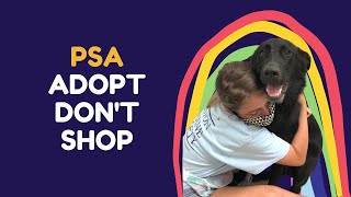 PSA: Adopt Don’t Shop