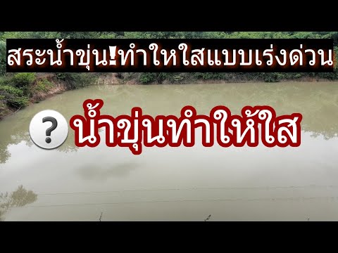 🔴สระน้ำขุ่น!ทำน้ำใสๆได้แบบเร่งด่วน สระขุดใหม่ บ่อน้ำดิบผิวดินทำน้ำประปาหมู่บ้าน
