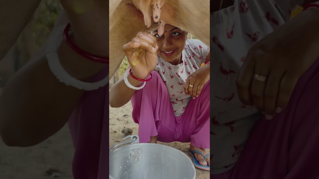 শ্যামলীর থেকে মুন্নি আজকে বাঁট ফাটিয়ে দুধ দিল🍼🤭🥵 ||Raju and Barna Vlogs