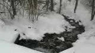 Blizzard in East Cleveland March 8, 2008