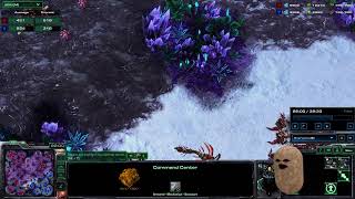 SC2 - co-op