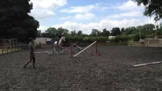Tilly grid work and weird extended trot :P