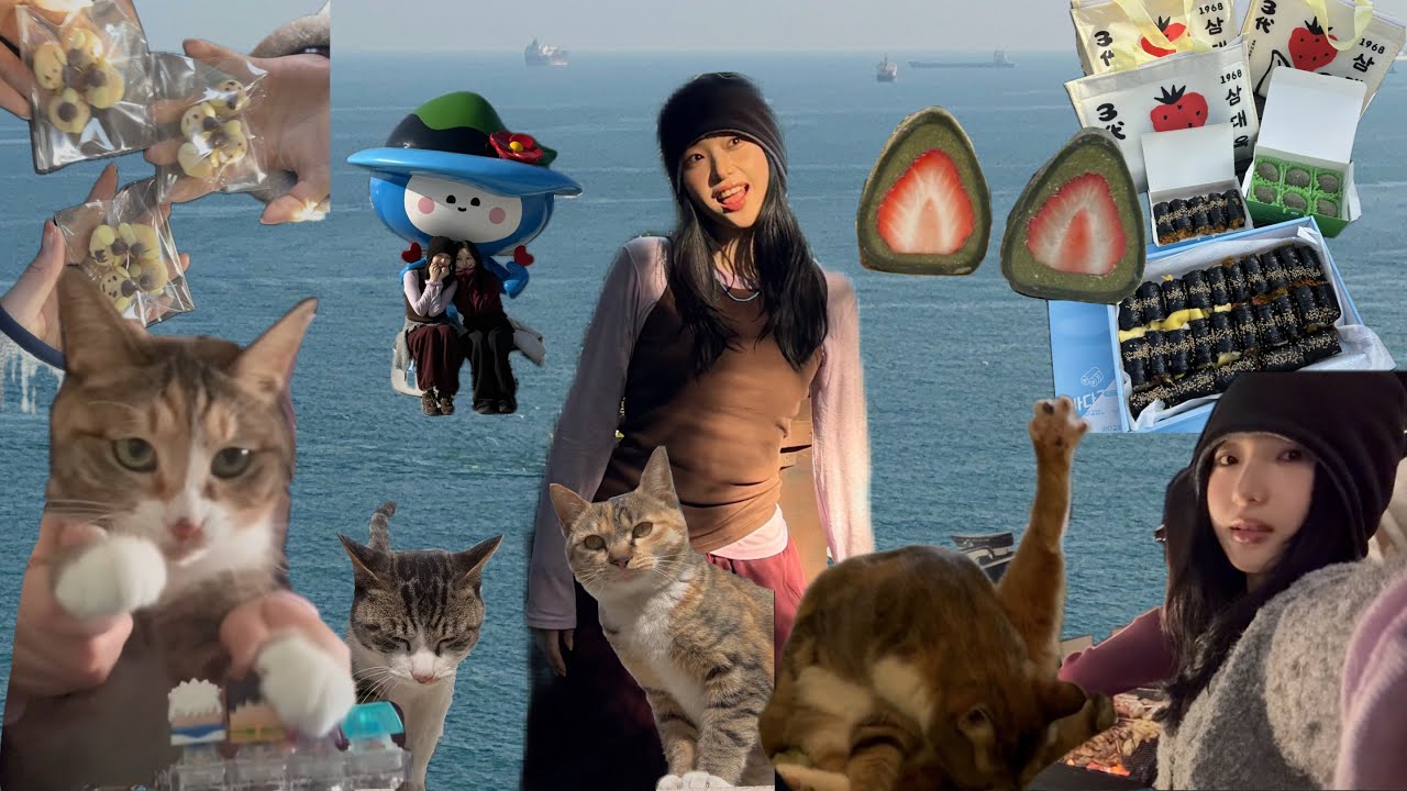 설 연휴 전 여수 여행갔다가 고양이랑 테무깡 | 여수 1박 2일 | 삼대옥 딸기모찌 | 테무깡, 알리깡 | 식집사.. 