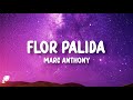 Marc Anthony - Flor Pálida (Letra/Lyrics)