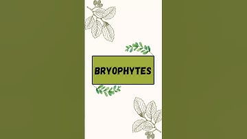 Bryophytes🌱 #botany #bryophytes #plants #plantbiology #shorts #amphibiansofplantkingdom #biology