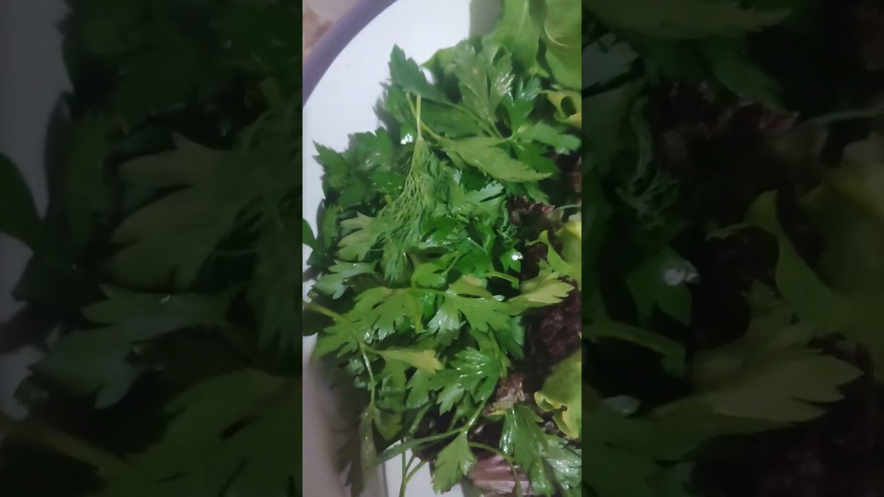 MAŞ FASULYE SALATASI#obirusta#chef#yemek#pratiktarifler#yemektarifi#pizza#yemek MAŞ FASULYE SALATASI#obirusta#chef#yemek#pratiktarifler#yemektarifi#pizza#yemek