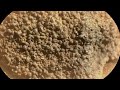 NASA Mars Rover Spots ‘Shocking Spherules’ In Strange Rock