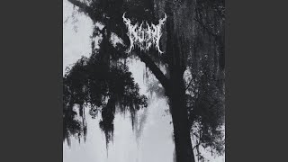 Cold Wind - Despair