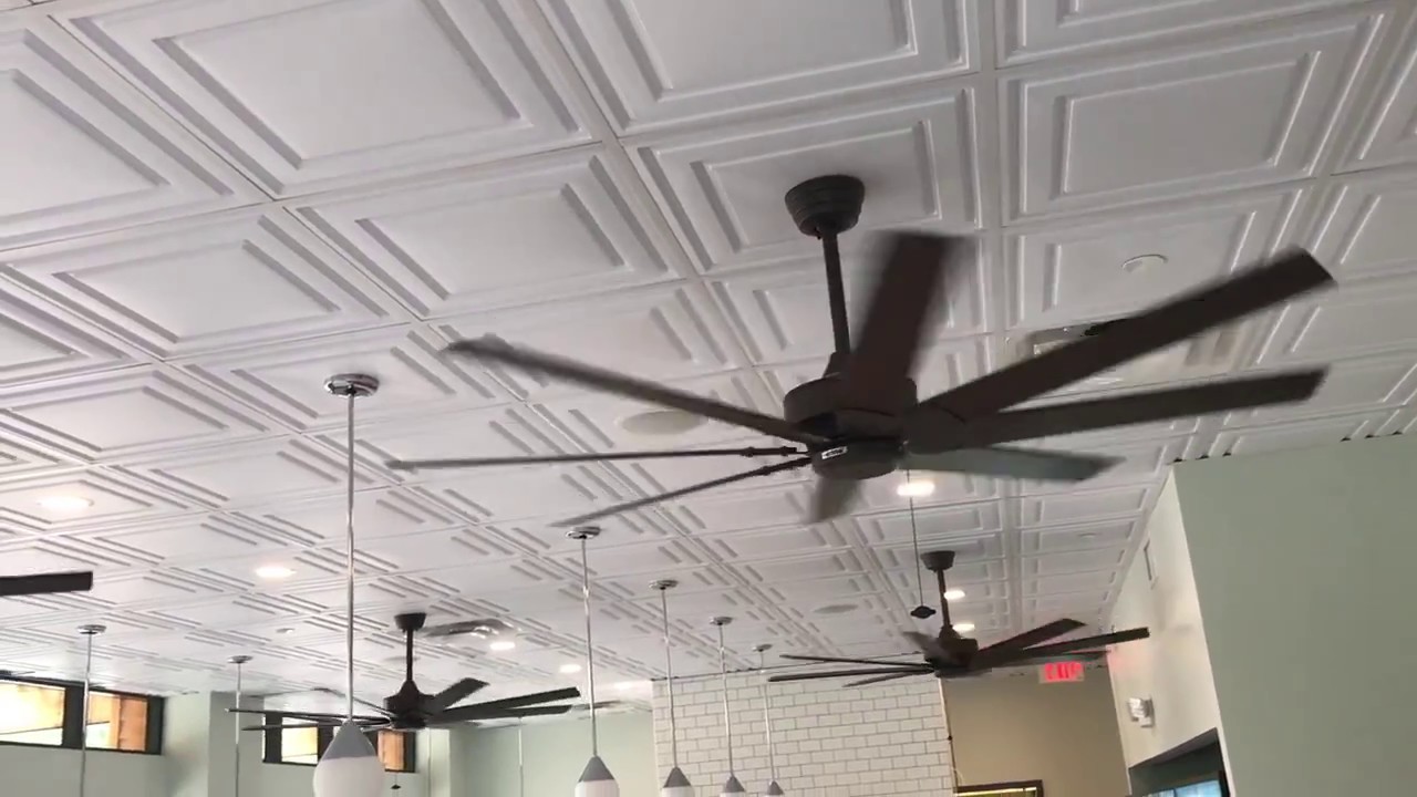 Fanimation Levon Ac Ceiling Fans 1 4 Of 8 Youtube