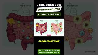 Antinutrientes  ¿Malos o Secretamente Buenos