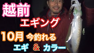 【エギング】10月に釣れるエギ &カラーはこれ！