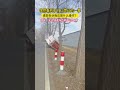 偶然看到不可思議的一幕，誰能告訴我這是什麼操作？網友：無人快遞車也躺平過年了！#無人快遞車