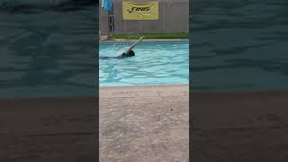 Swimming lesson