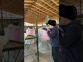 Дробилка для Зерна Траворезка Измельчитель Зерна и Сена Отходов ПОДАРКА жем турағыш