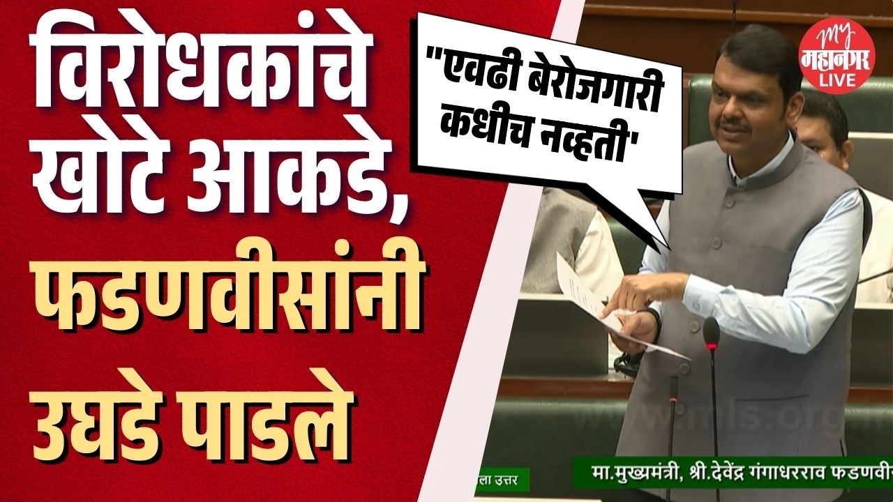 'मी पण विरोधात होतो...', विरोधकांचे खोटे आकडे, फडणवीसांनी उघडे पाडले | CM Fadnavis | Vidhansabha