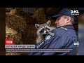 Новини України: у Львові копи влаштували фотосесію з врятованими тваринами