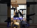 チャイさんの暮らし176。