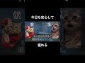今日も安心して寝れる #猫ミーム