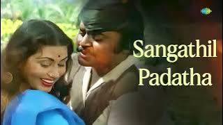 Sangathil Padatha - Auto Raaja | Ilaiyaraaja | S. Janaki | Vijayakanth | Pulamaipithan |