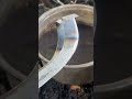The Secret of Hardening a Rubber Tapping Knife with Fire and Water  #heatTreatment #hardeningsteel