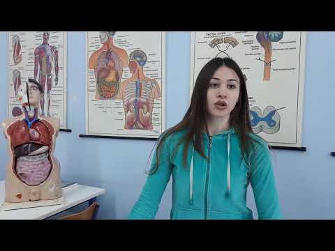Ειδικότητα Β.Νοσηλευτή -Τομέας