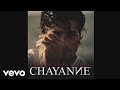 Chayanne - Me Enamoré de Ti (Audio)