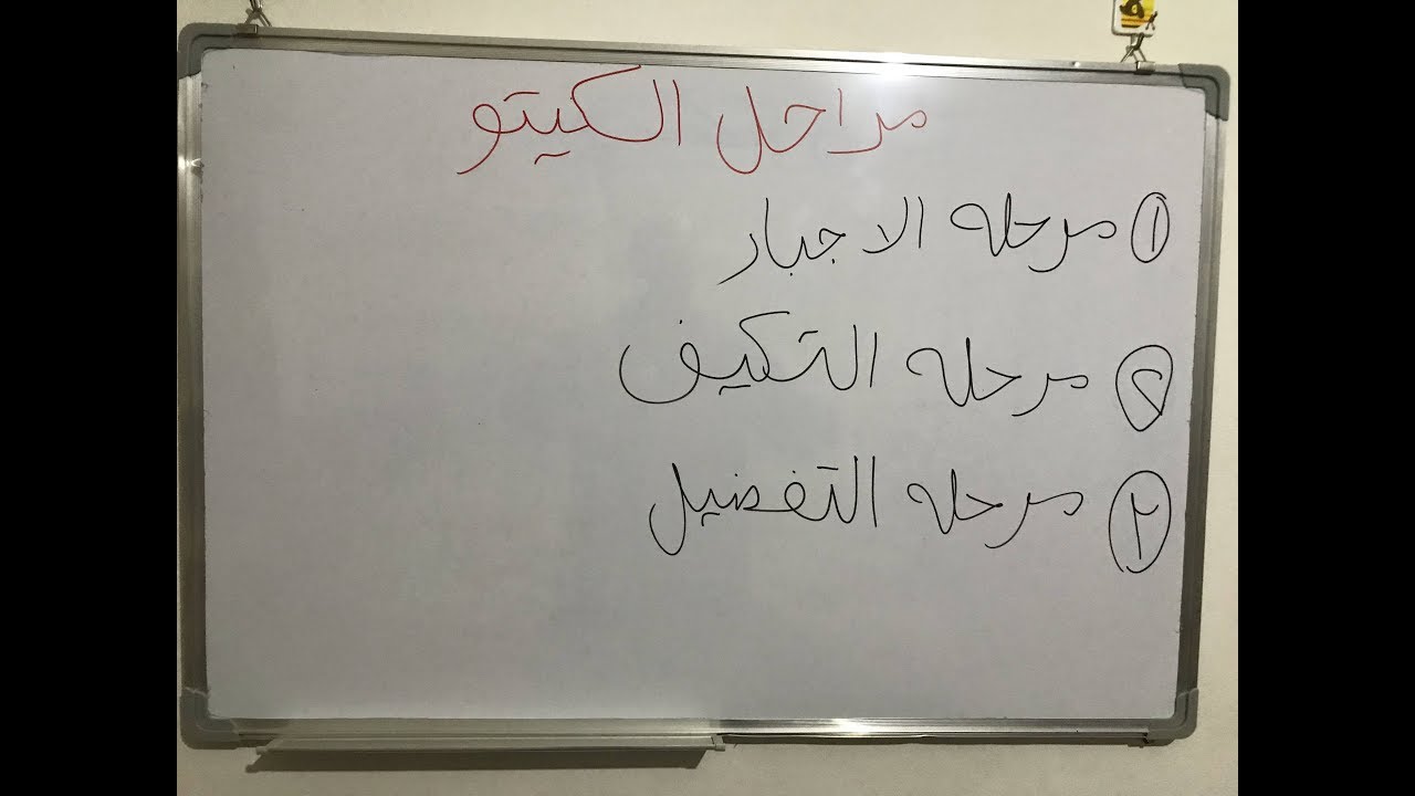 مراحل الكيتو : المرحله الثانيه : التكيف / كيتو دايت