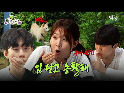 [2025 고연연합방송제] 아 영어 쓰지 말라고오!!! | KUBS X YBS 이장님 쟤 흙 먹어요 Ep. 2