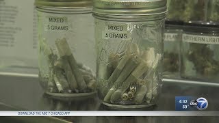 Rick Steves testifies in favor of marijuana legalization in Illinois