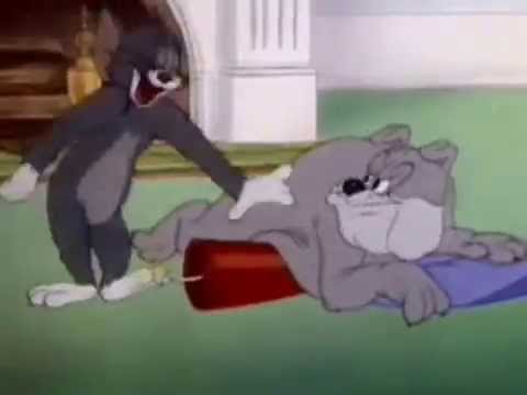 Tom And Jerry Who Let The Dogs Out