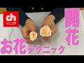 お花の開花のワンポイントレッスン【生花・ブリザードフラワー カルチャー北海道】