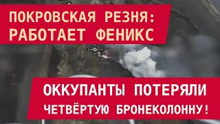 картинка: ПОКРОВСКАЯ РЕЗНЯ: РФ потеряла 4-ю бронеколонну: минус 10 танков и БМП. Работал Феникс!