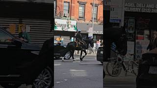Beware of cops 👮‍♂️ on horses 🐎 in NYC