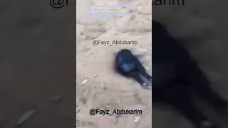 Paranormal frekans – “İki avcı” #paranormal #korku #korkuevi #demon #olay #cinleralemi