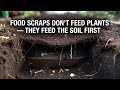 How Kitchen Scraps Support Soil Life – Observations from Raised Beds