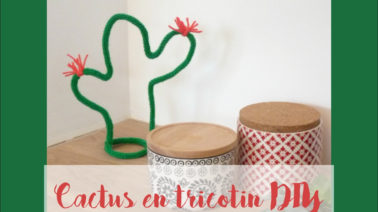 tricotin cactus