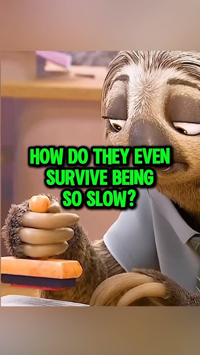 How Do Sloths Survive Being So Slow? #shorts #sloth - YouTube